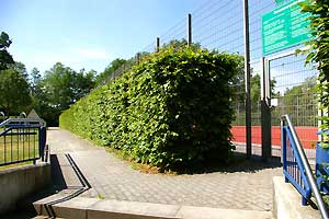Gartengestaltung, Landschaftsgestaltung Schemmel
               - Lausitz / Bad Liebenwerda